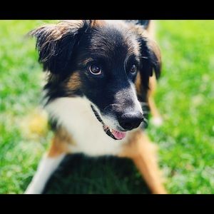 Meet your Posher, Christopher